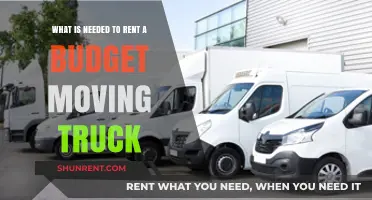 Essential Requirements for Renting a Budget Moving Truck Easily