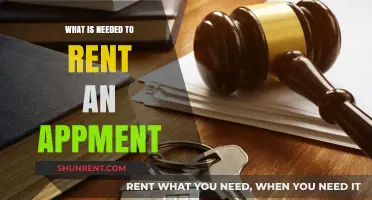 Essential Requirements for Renting Your Dream Apartment