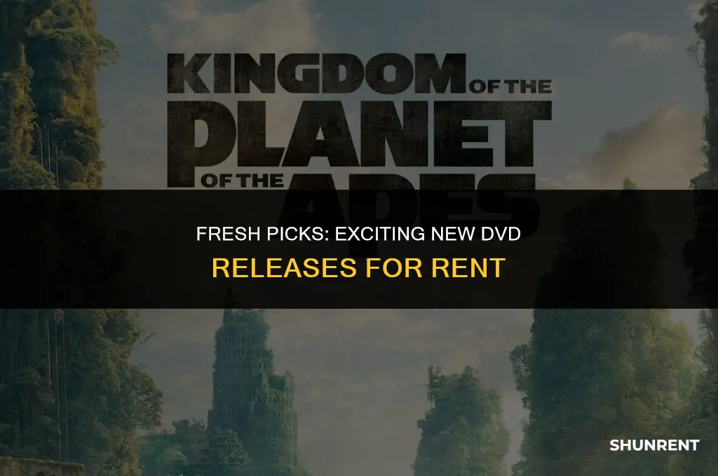 what is new on dvd to rent