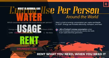 Understanding Average Gas and Water Consumption for Renters