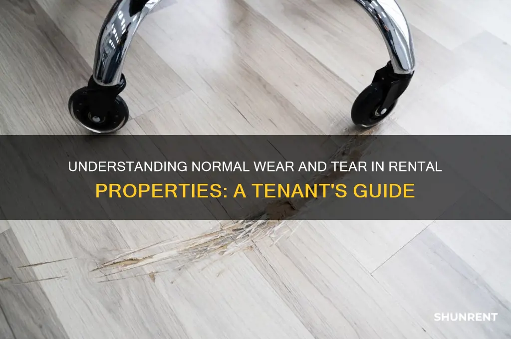 what is normal wear and tear when renting