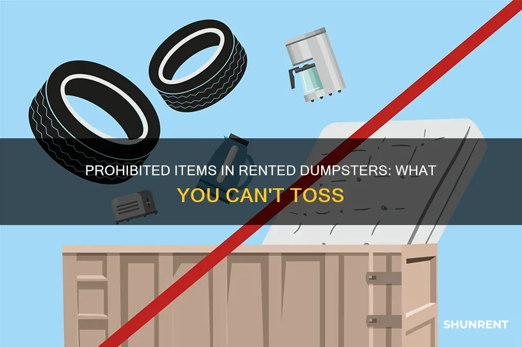 what is not allowed in a rented dumpster