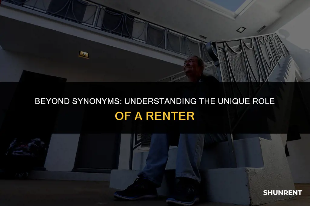 what is not another word for renter