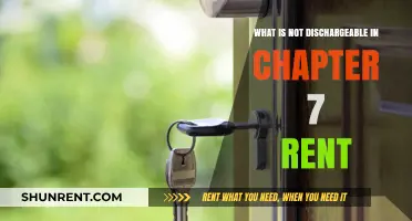 Chapter 7 Bankruptcy: Understanding Non-Dischargeable Rent Obligations
