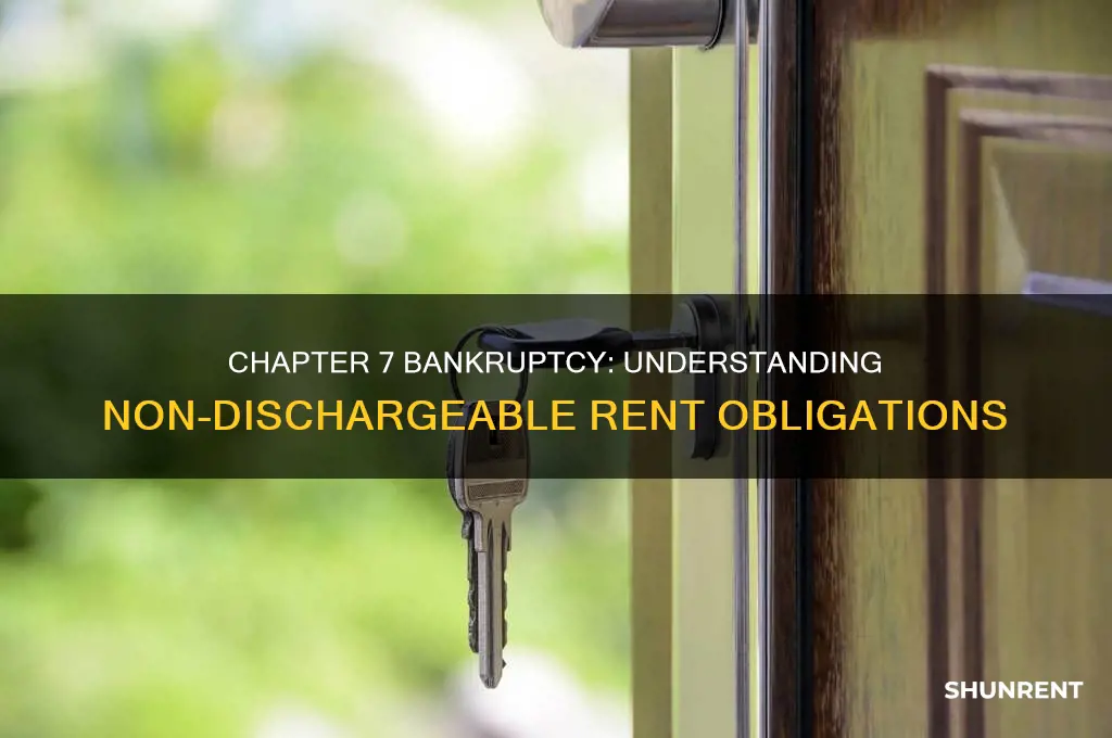 what is not dischargeable in chapter 7 rent