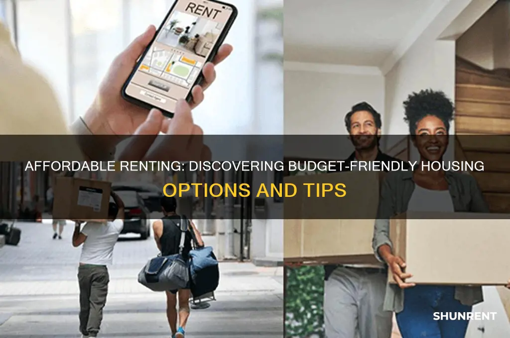 what is on the cheap side of renting