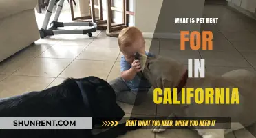 Understanding Pet Rent in California: A Guide for Tenants