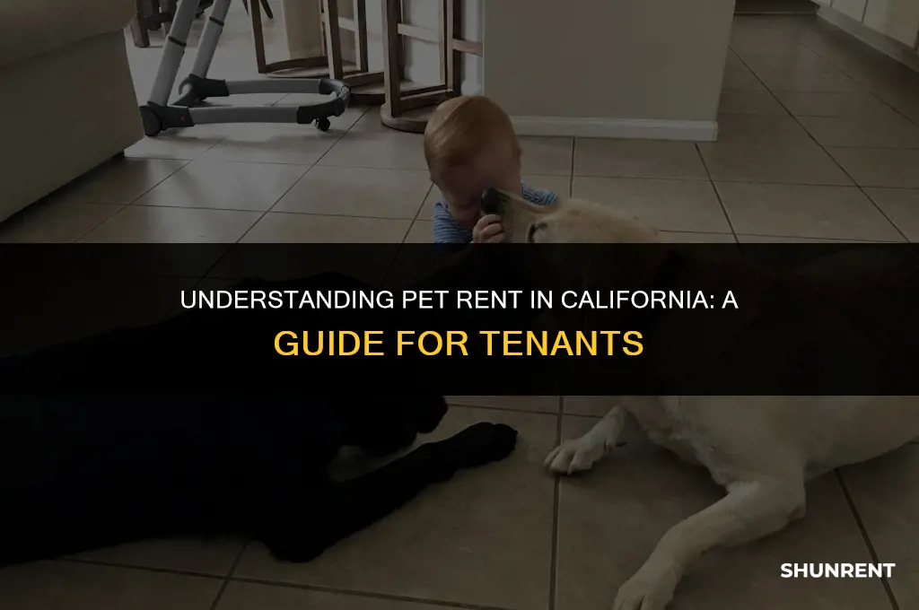 what is pet rent for in california