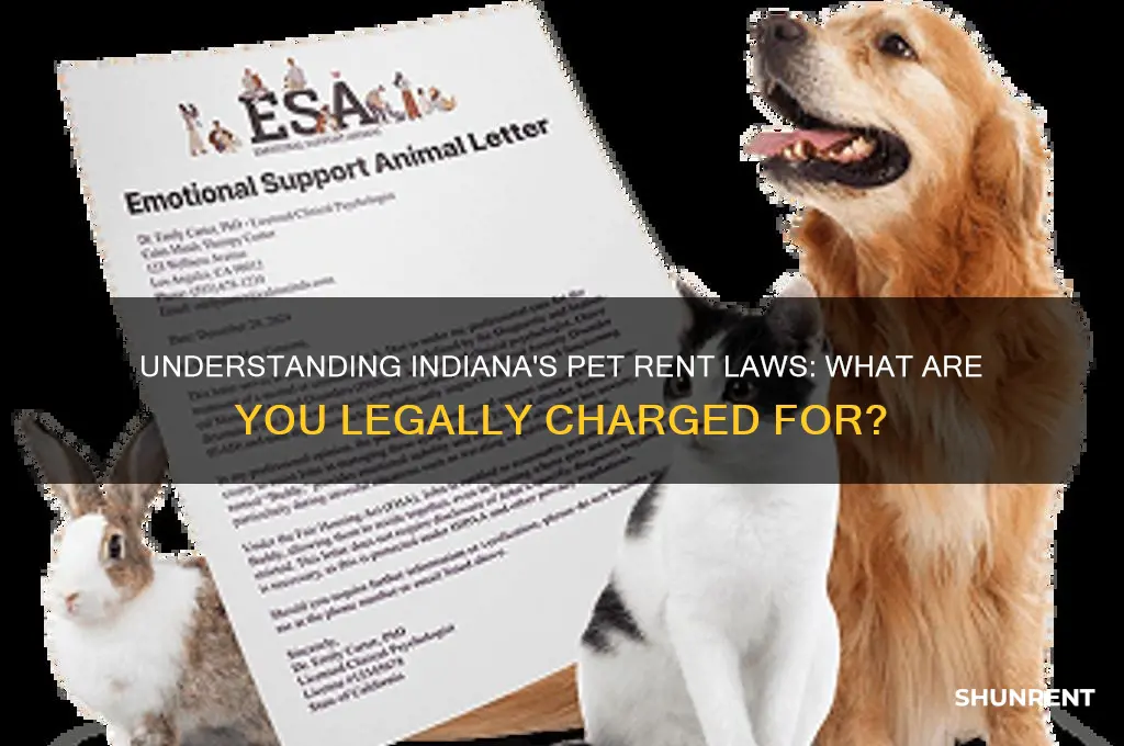 what is pet rent legally charged for indiana