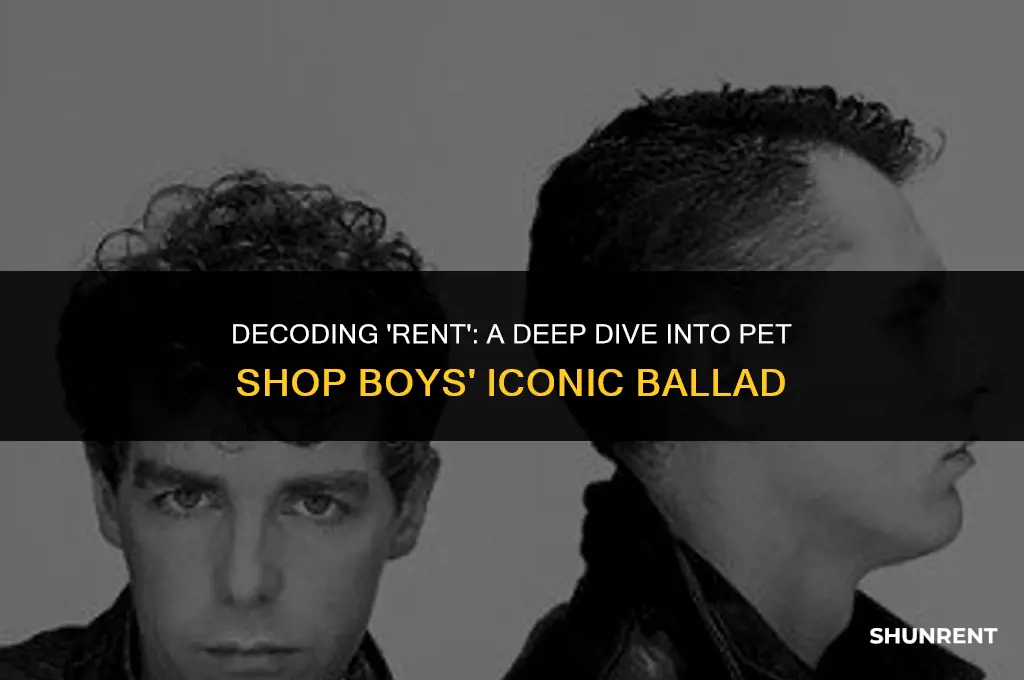 what is pet shop boys rent about