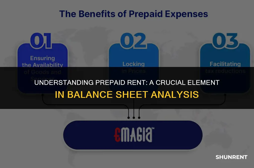 what is prepaid rent in balance sheet