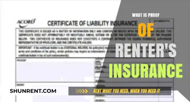Understanding Renter's Insurance: What Counts as Proof?