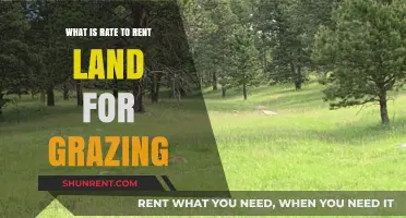 Understanding Land Grazing Rental Rates: A Comprehensive Guide for Farmers