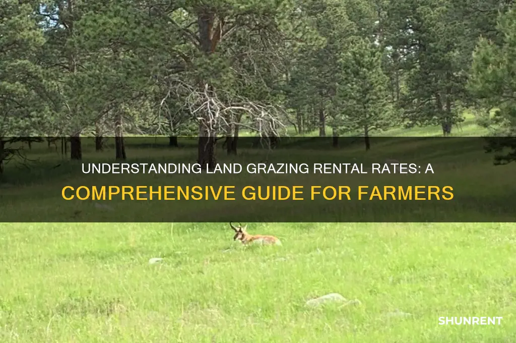 what is rate to rent land for grazing