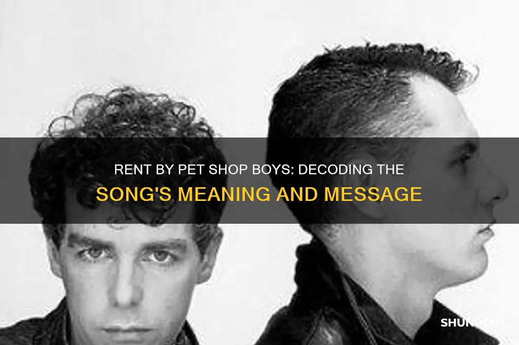 what is rent by the pet shop boys about