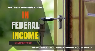 Understanding Rent Forgiveness and Its Impact on Federal Income Taxes