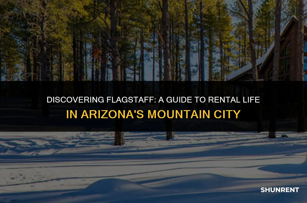 what is rent like in flagstaff arizona