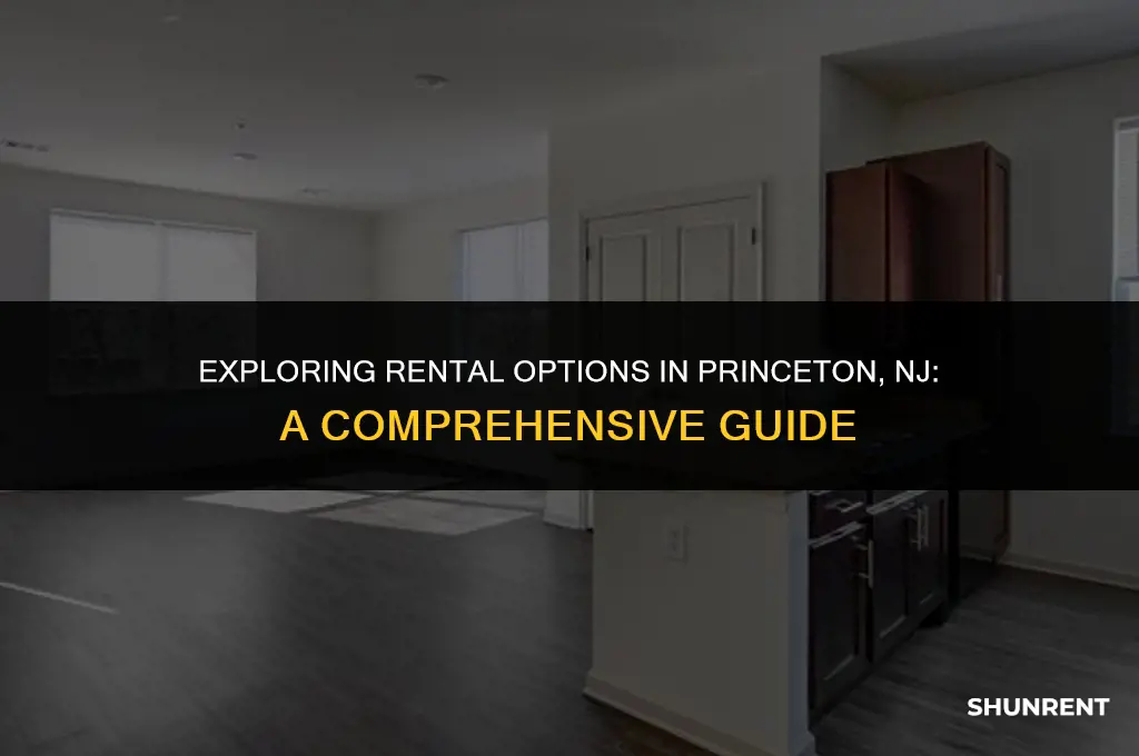what is rent like in princeton nj