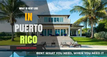Exploring Puerto Rico: A Guide to Rental Costs and Living