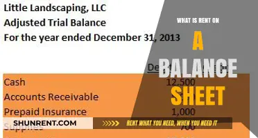 Understanding Rent Expenses: A Guide to Balance Sheet Entries