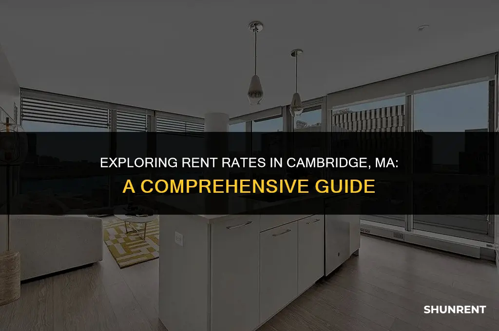 what is rent rates in cambridge ma