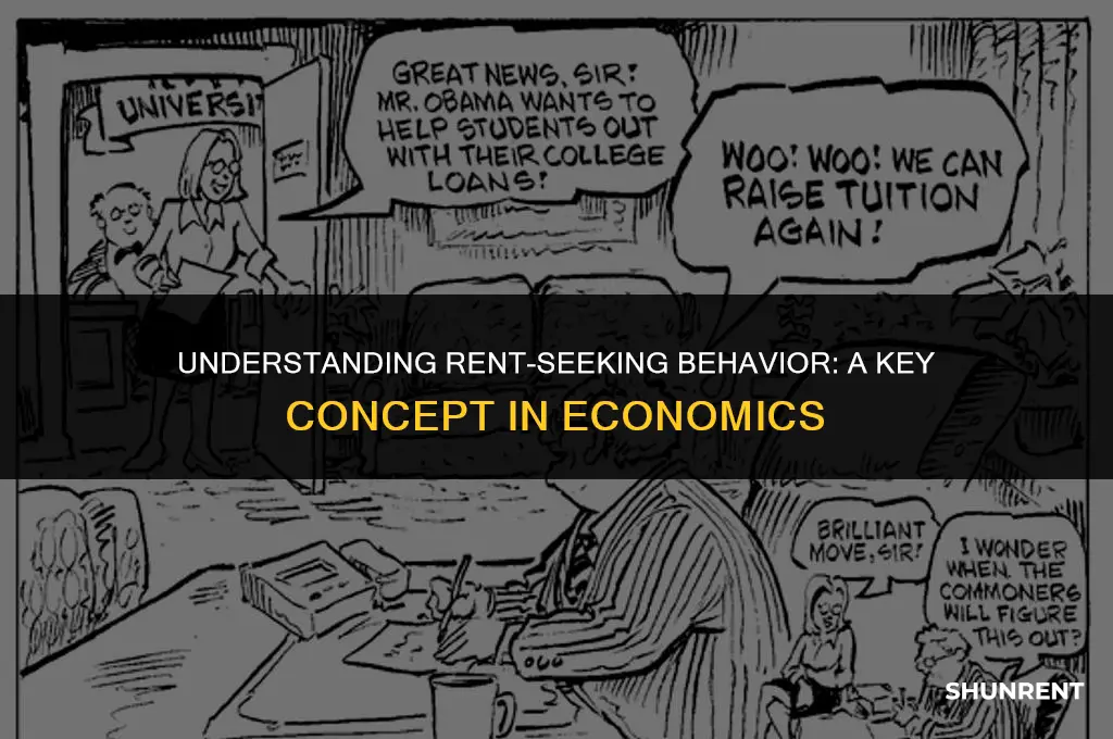 what is rent seeking behavior in economics