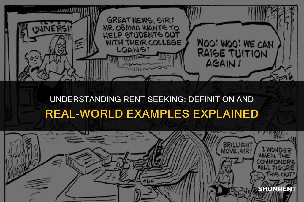 what is rent seeking give two example