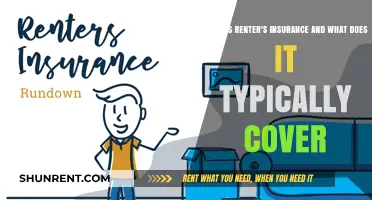 Understanding Renter's Insurance: Coverage Essentials for Your Rental Property