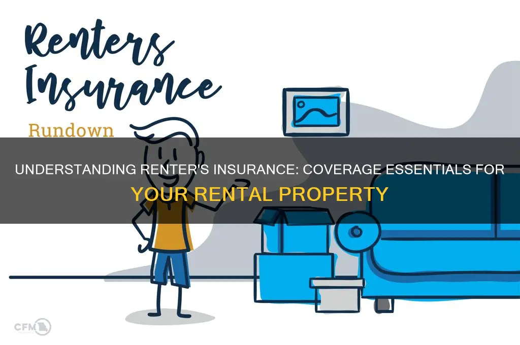 what is renter