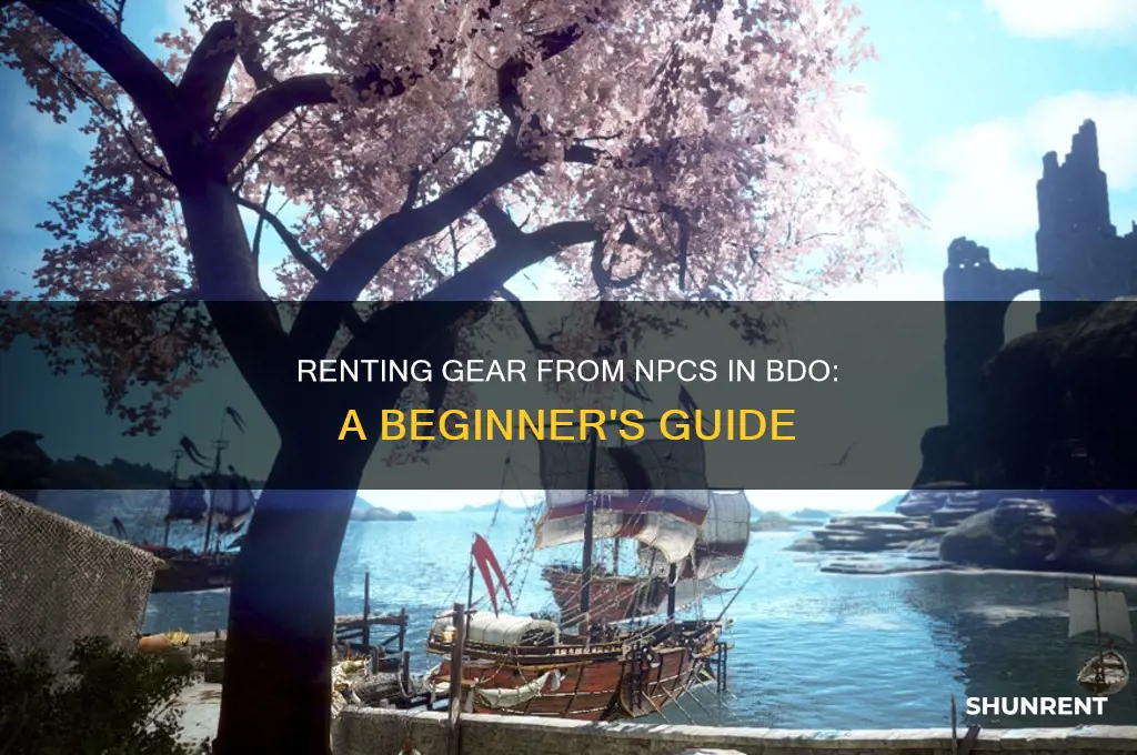what is renting gear from npc