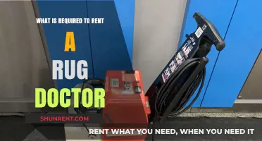 Renting a Rug Doctor: Essential Requirements for a Spotless Carpet