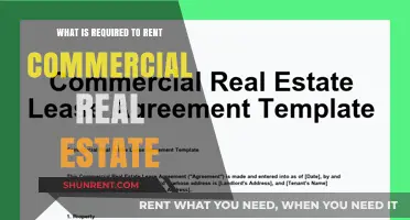 Essential Steps and Requirements for Renting Commercial Real Estate