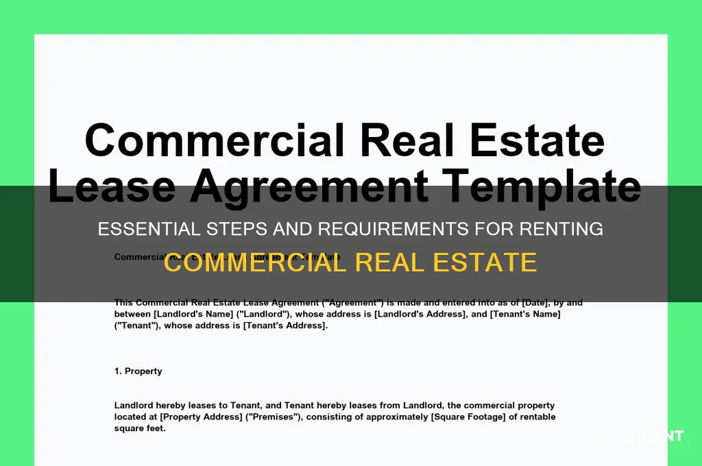 what is required to rent commercial real estate