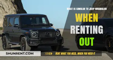 Top Jeep Wrangler Rental Alternatives for Off-Road Adventures