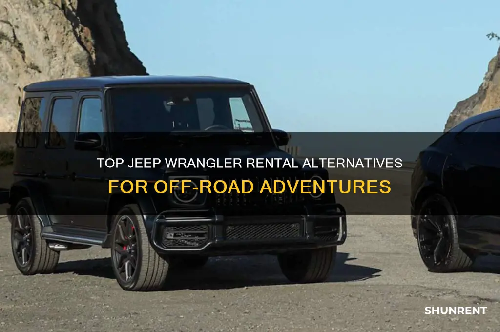 what is similar to jeep wrangler when renting out