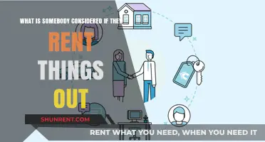 Understanding the Role of a Renter-Turned-Lender in the Sharing Economy