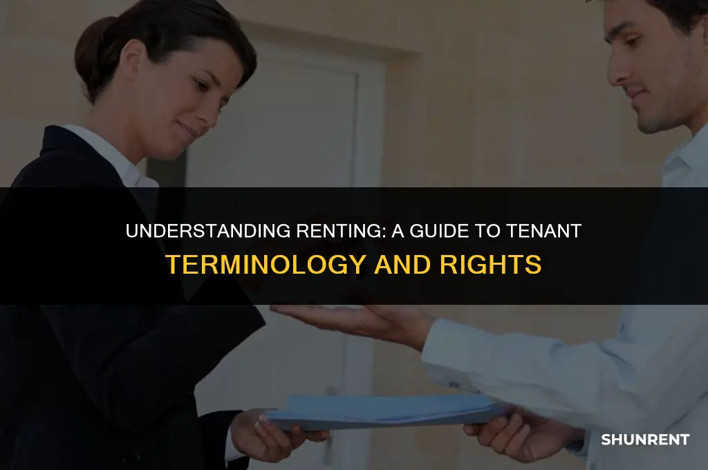 what is somebody that rents stuff called