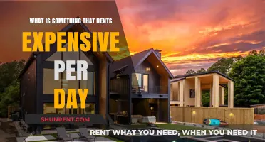Luxury Rentals: Daily Costs of High-End Items and Services