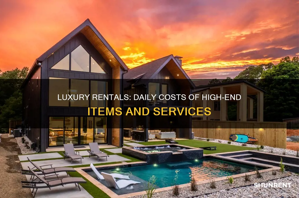 what is something that rents expensive per day