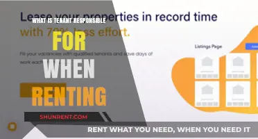 Understanding Tenant Responsibilities: A Comprehensive Guide to Renting