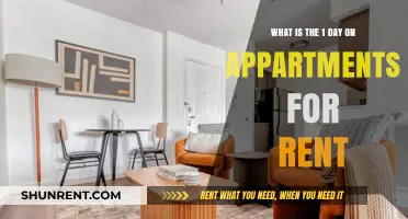 Understanding One-Day Apartment Rentals: A Quick Guide for Renters