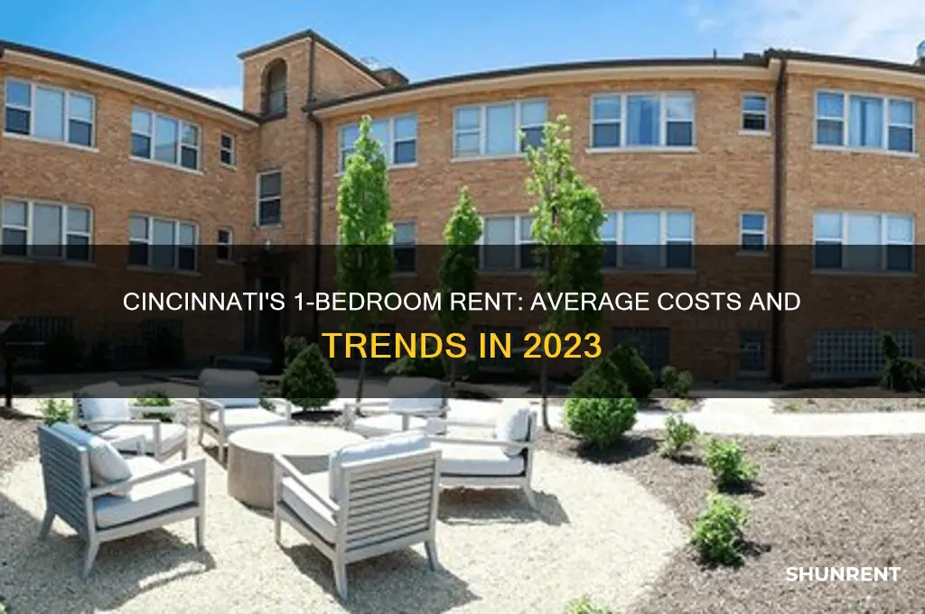 what is the average 1 bedroom rent in cincinnati ohio