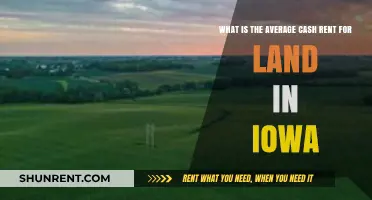 Understanding Iowa's Average Cash Rent for Farmland: Trends and Insights