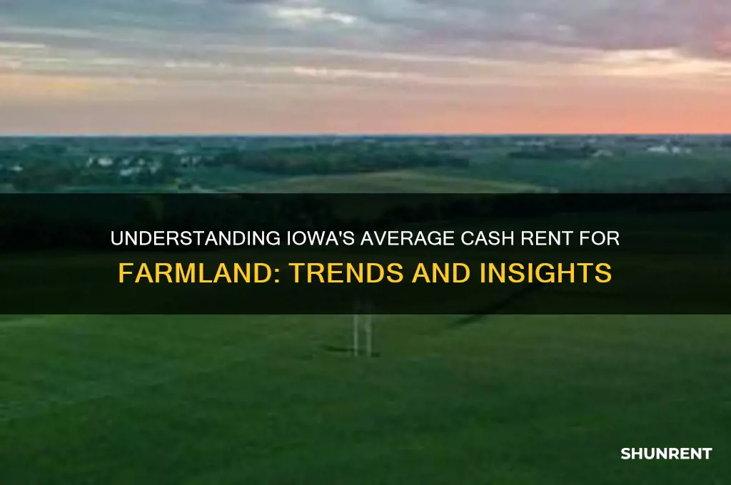 what is the average cash rent for land in iowa