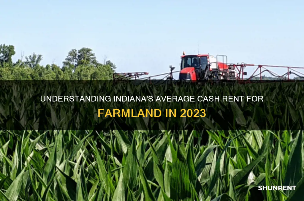 what is the average cash rent in indiana