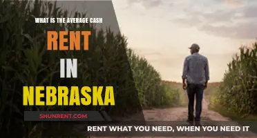 Understanding Nebraska's Average Cash Rent for Farmland in 2023