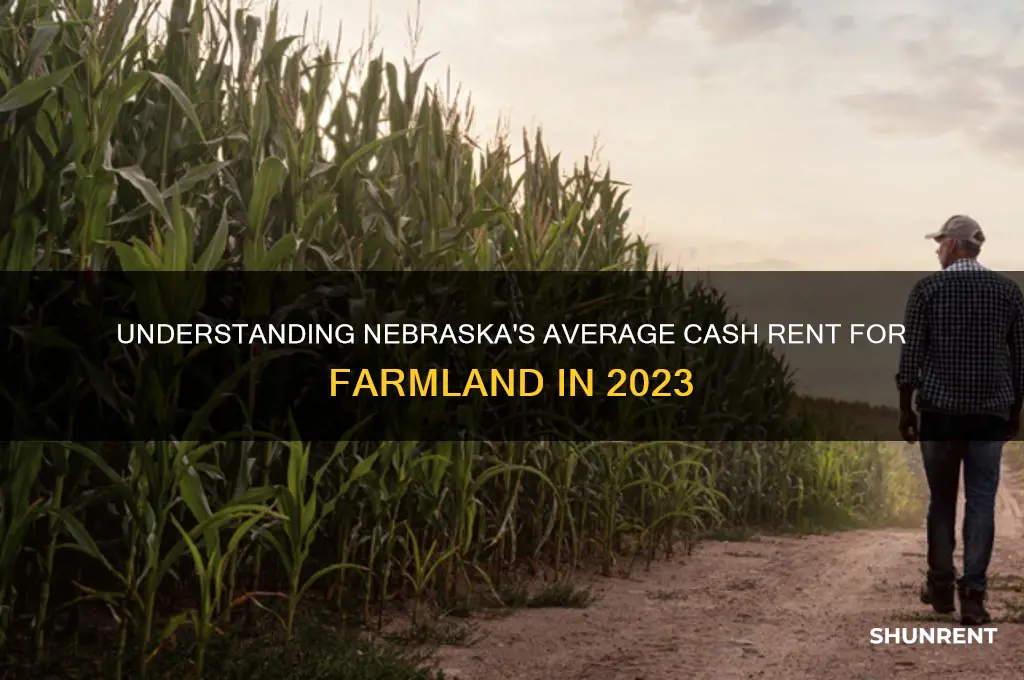 what is the average cash rent in nebraska