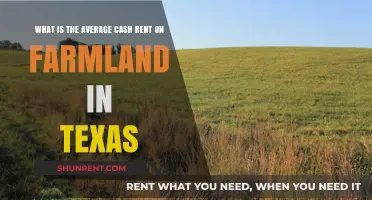 Understanding Texas Farmland Cash Rent Averages: Trends and Insights