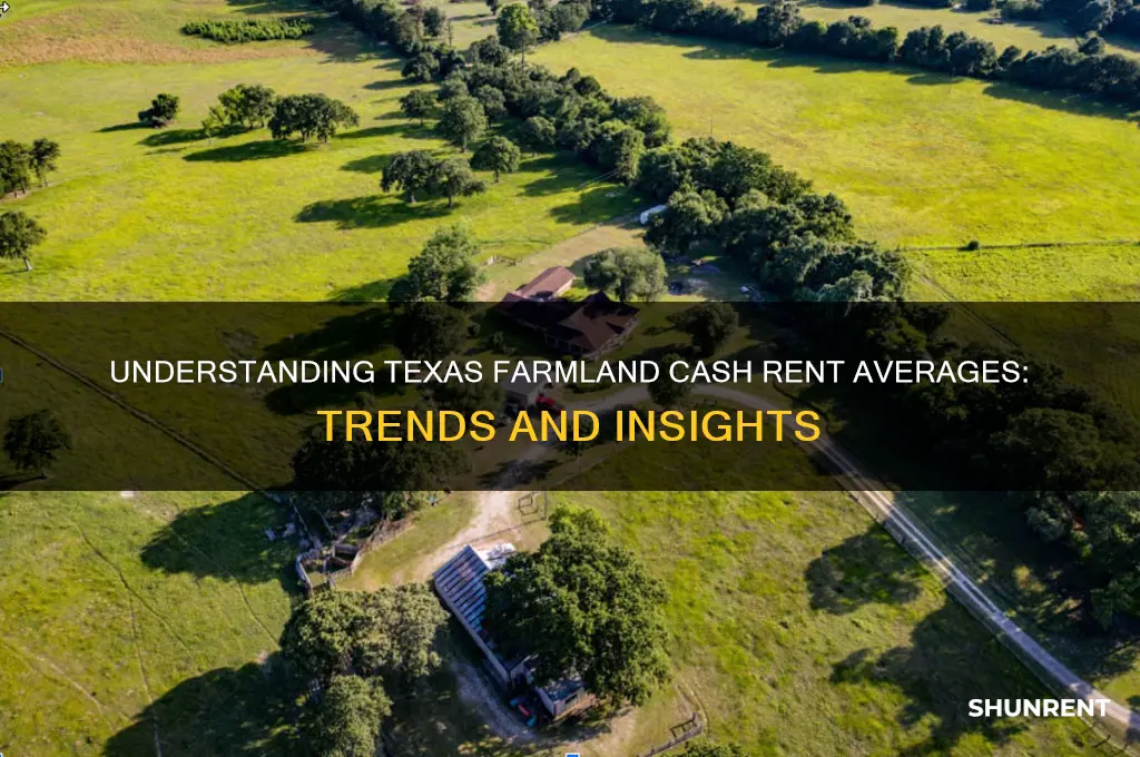 what is the average cash rent on farmland in texas