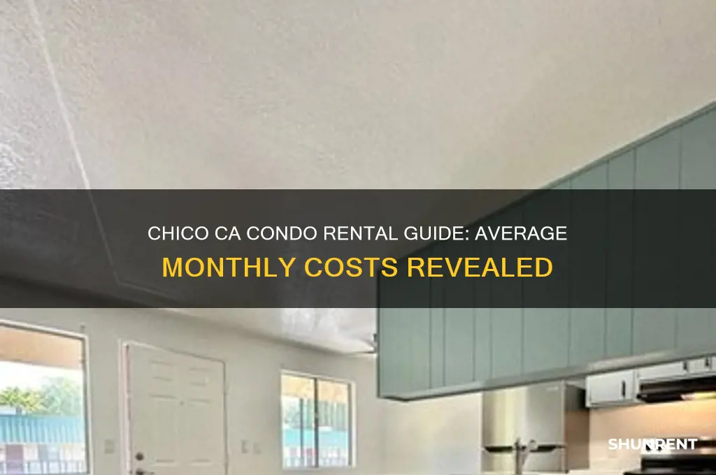 what is the average condo rent in chico ca